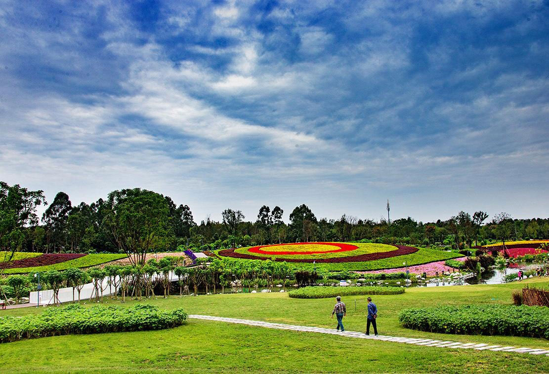 武侯区文体旅局